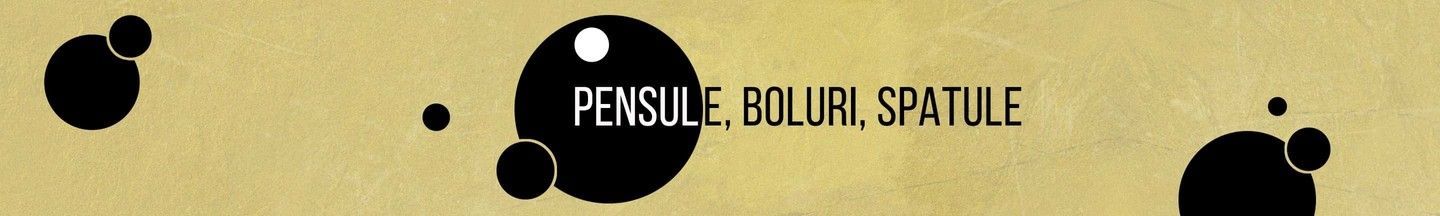 Pensule, boluri, spatule