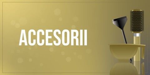 Accessorii